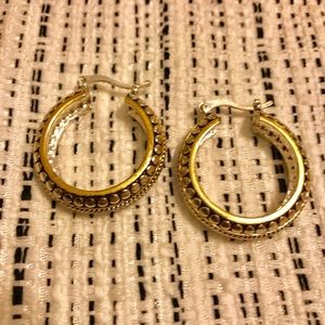 Premier Designs Hoop Earrings